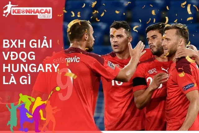 Tổng quan BXH Giải VĐQG Hungary