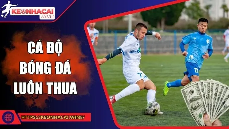 Cá Độ Bóng Đá Luôn Thua - Sự Thật Phũ Phàng Ít Ai Nói